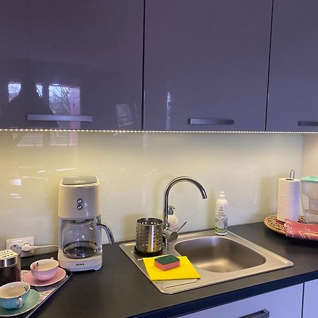 Dyrekcyjna Apartment Вроцлав Екстериор снимка