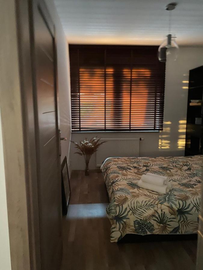 Dyrekcyjna Apartment Вроцлав Екстериор снимка